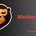 Monkeygg2