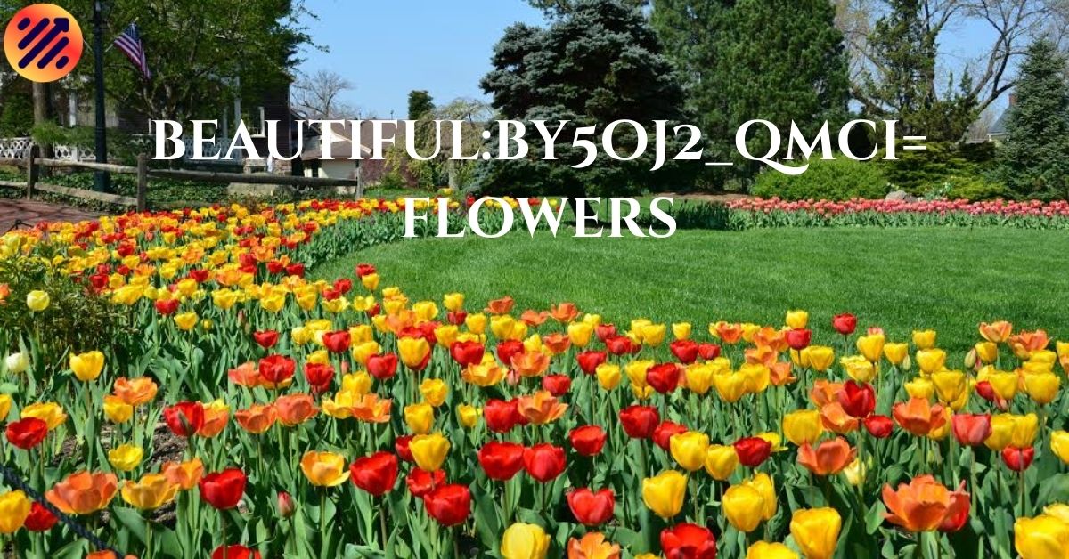 beautiful:by5oj2_qmci= flowers